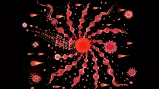 Unlocking the Potential of Menstrual Blood in Health Testing - Global Women's Health Innovation Conclave