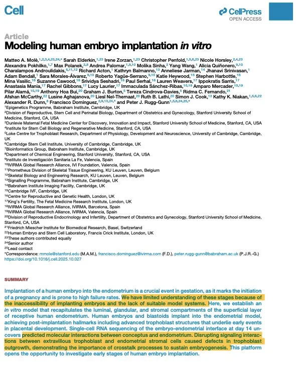 Niko McCarty: New Organoid Models Enhance Understanding of Embryo Implantation