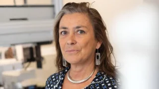 Nathalie Ledee: Implantation Failure, When Embryo Quality Is Not the Full Story