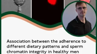 Dietary Patterns: Impact on Sperm Chromatin Integrity Revealed - RBMO