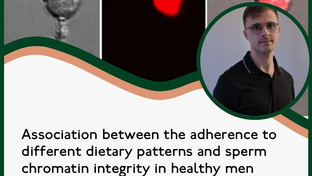 Dietary Patterns: Impact on Sperm Chromatin Integrity Revealed – RBMO