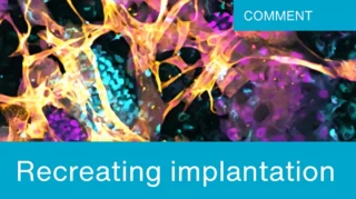 Breakthroughs in Human Embryo Implantation Research - Progress Educational Trust