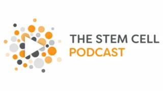 Stem Cell-Derived Ovarian Support Cells in IVF Advancements - Stem Cell Podcast