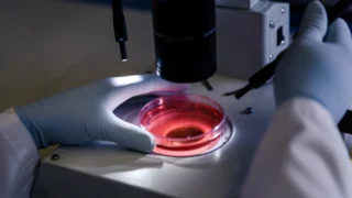 Esraa Atef: A New Frontier in Reproductive Medicine and Infertility Treatment