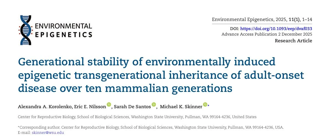 Alexandra Korolenko: Excited to Share New Research on Transgenerational Epigenetic Inheritance
