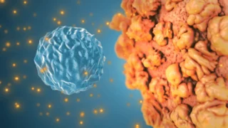 Phase-Dependent Cytokine Dynamics of Endometrium - Fertility and Sterility