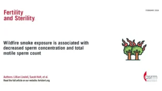 Wildfire Smoke Exposure and Decreased Sperm Concentration - Fertility and Sterility