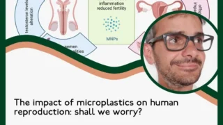 Plastic Pollution in Human Reproduction: Should We Worry? - RBMO