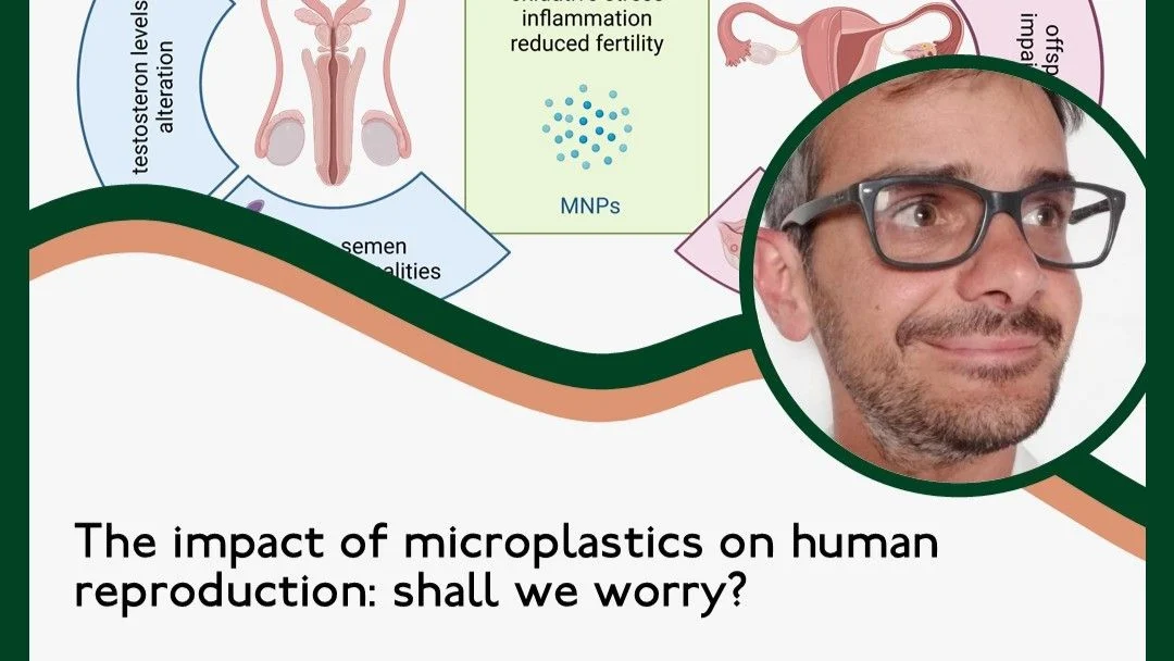 Plastic Pollution in Human Reproduction: Should We Worry? – RBMO