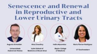 Join Us for Insights on Senescence and Renewal in Reproductive Health - SRI