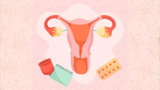 Ovarian Stroma's Role in Infertility Treatment Explored - Science Magazine