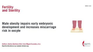 Impact of Male Obesity on Embryo Development and Miscarriage Risk - Fertility and  Sterility