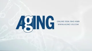 Dietary Associations With Lower Epigenetic Age - Aging-US