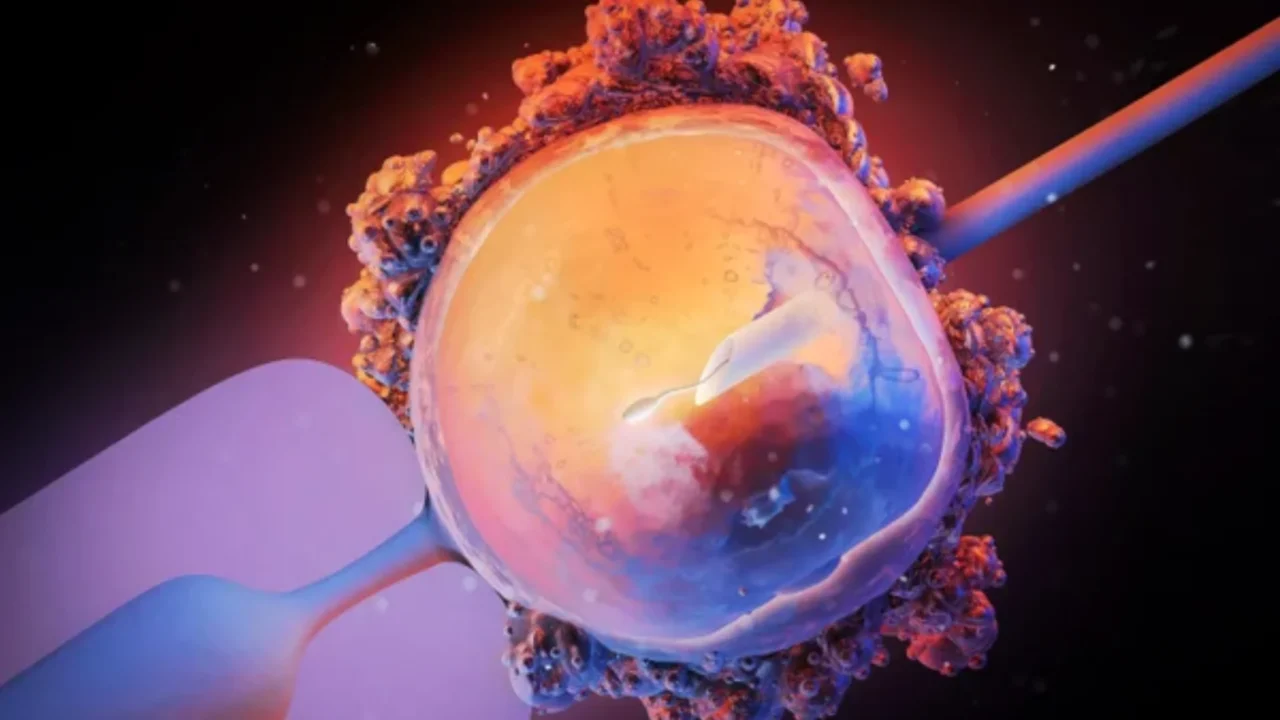 Akansha Negi: The Science Behind Embryo Transfer in IVF