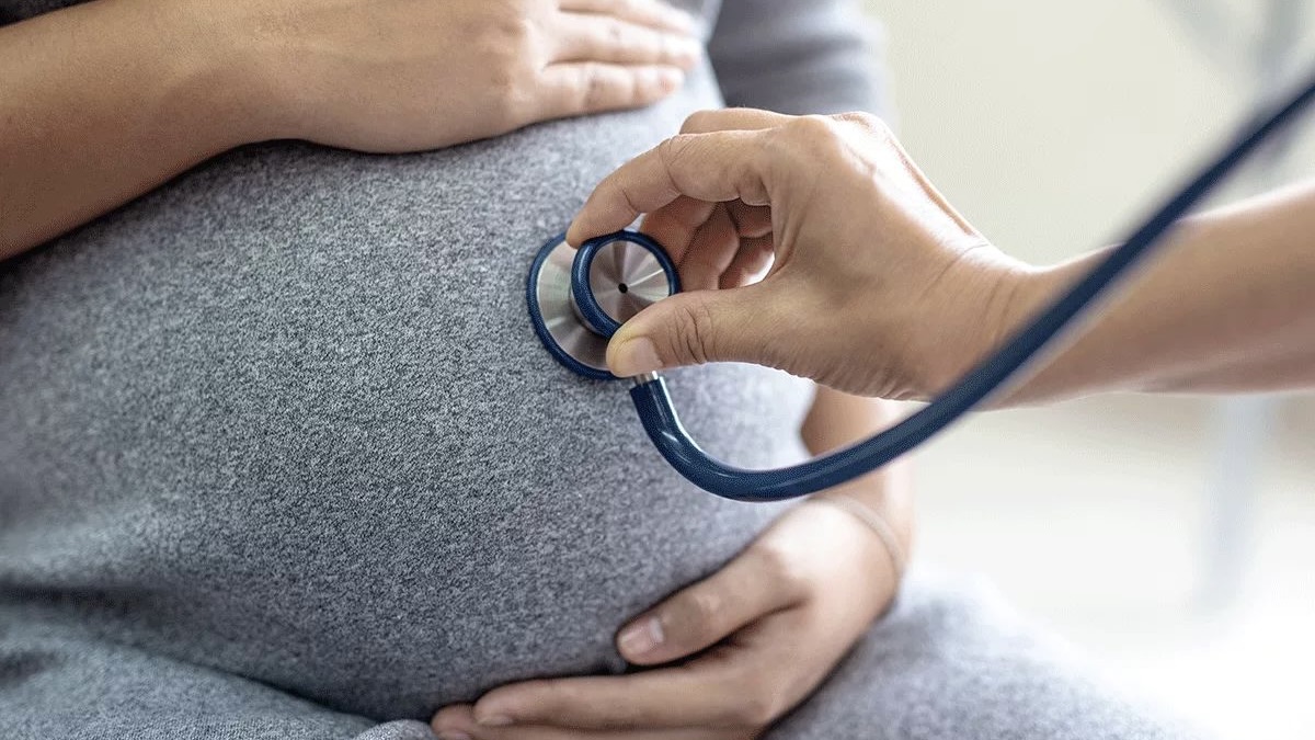 Uterus Transplants Reveal Immune Role in Pregnancy – BioWorld News