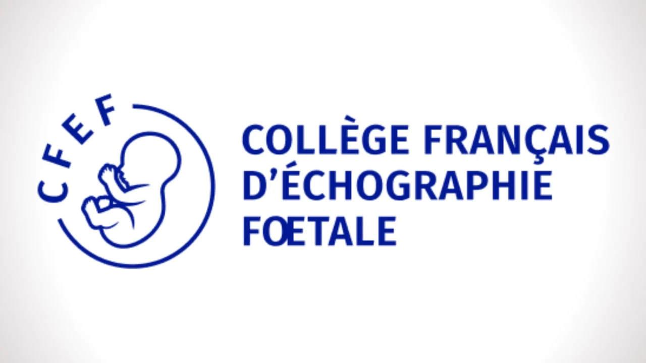 NIPT Accuracy in Twin Pregnancies with Early Fetal Loss – CFEF