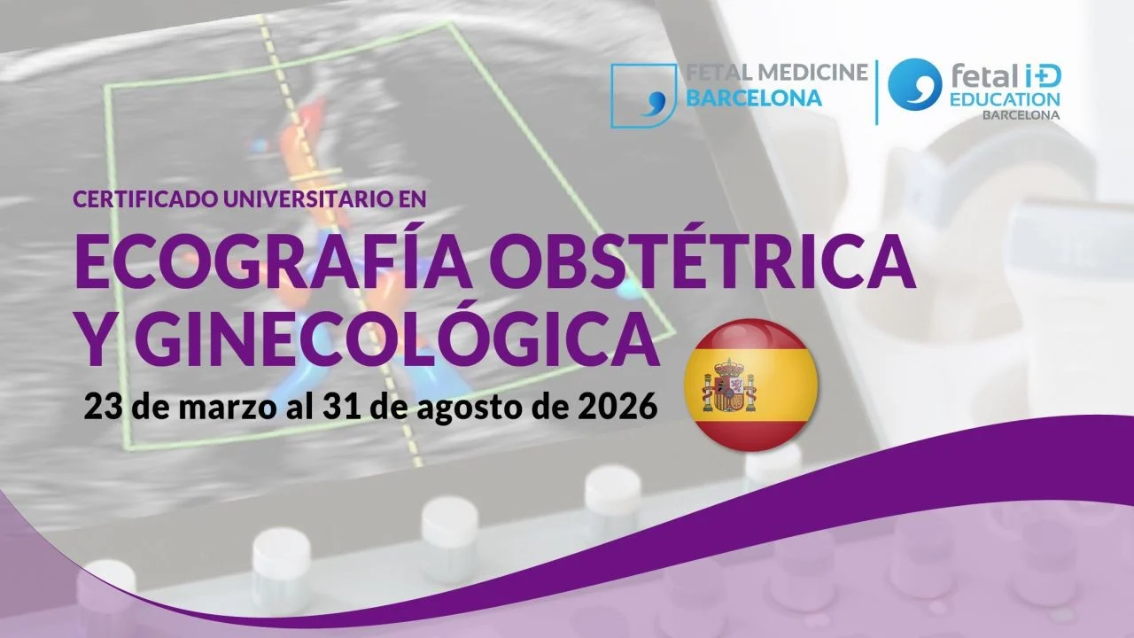 University Certificate in Obstetric and Gynecological Ultrasound Opens in Barcelona – Fetal Medicine Barcelona