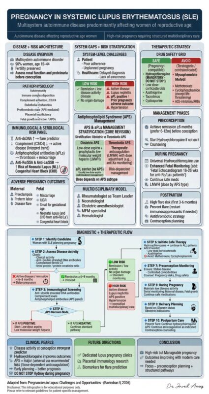 Javed Anees: Pregnancy in Systemic Lupus Erythematosus Requires a Protocol-Driven Approach