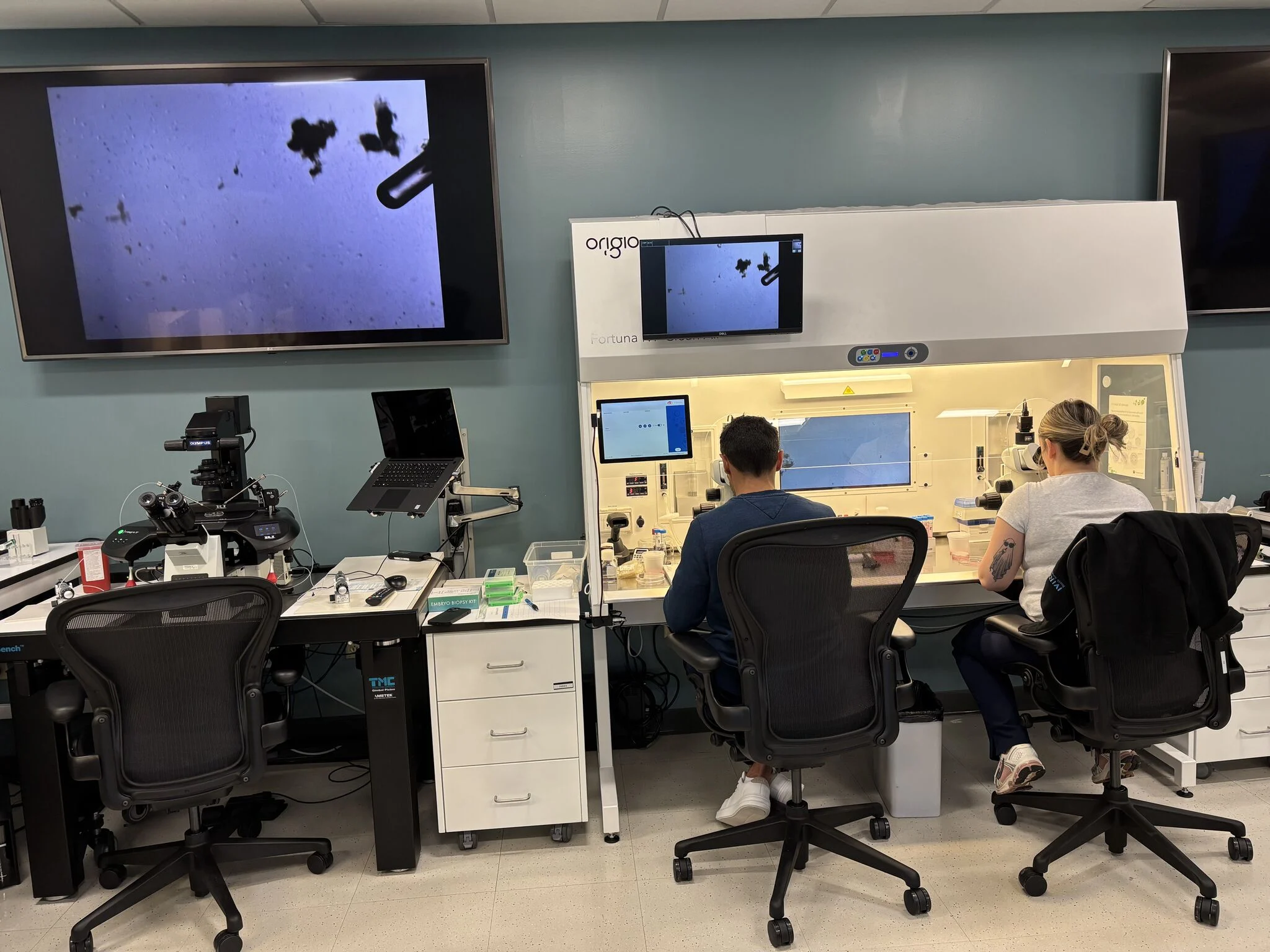 Lisa Wagner: ASRM CELL Day 2 Is All About Retrievals