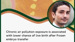 Effects of Air Pollution on Live Birth and Ovarian Response - RBMO
