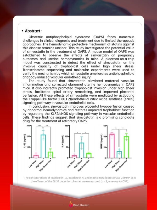 Simvastatin as a Potential Breakthrough Therapy – Reed Biotech LTD