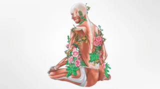 Comprehensive Look at Women’s Health Through Yale Medicine Magazine - Yale Obstetrics, Gynecology and Reproductive Sciences