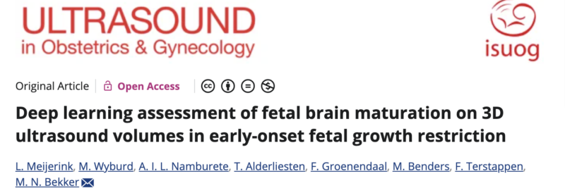 How AI Reveals Hidden Struggles in the Developing Fetal Brain – ISUOG