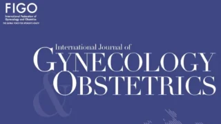 Our Latest Article From the FIGO Committee on AI and Women's Health - IJGO