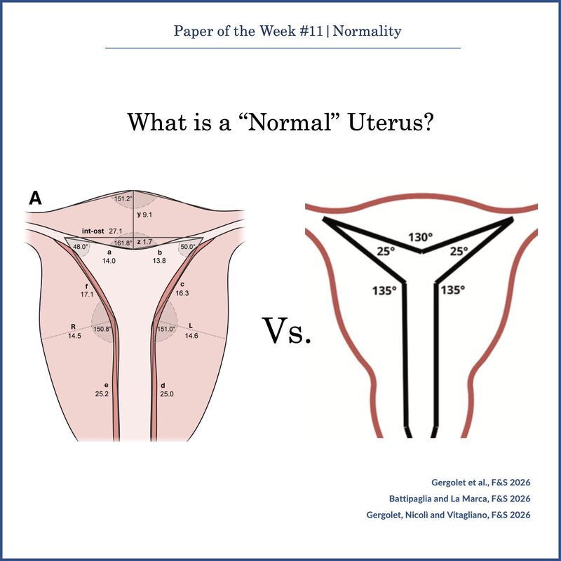 Yannick Hurni/Linkedin 