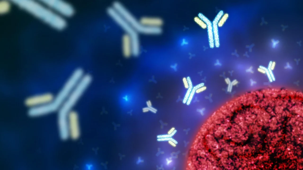 Basheer Saeed: How the Immune System Influences Pregnancy Success and Risk