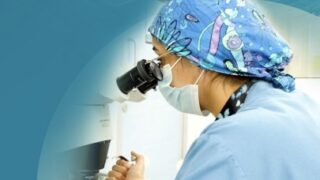 Devuni Vageeshwari: A Day in the Life of an Embryo and the Couple Behind It