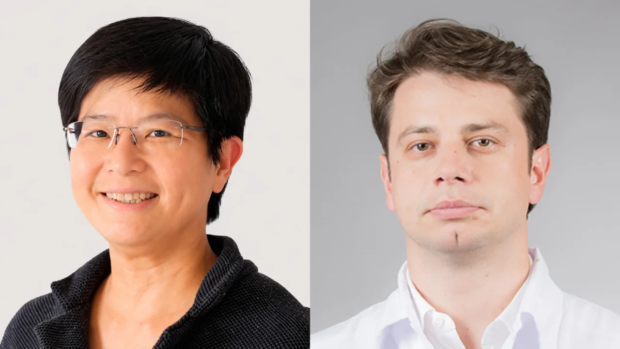 Sign Up for Our Latest BFS Insights Webinar – British Fertility Society