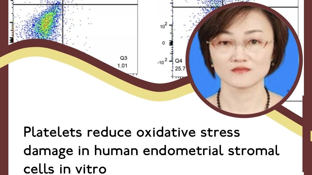 Platelets Reduce Oxidative Stress Damage in Human Endometrial Stromal Cells in Vitro – RBMO