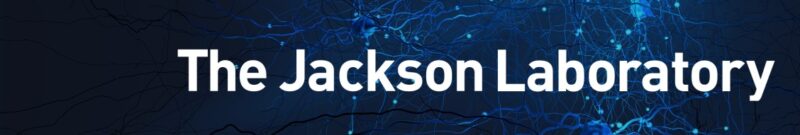 EndoRISE, A New Statewide Model for Endometriosis Care and Research – The Jackson Laboratory