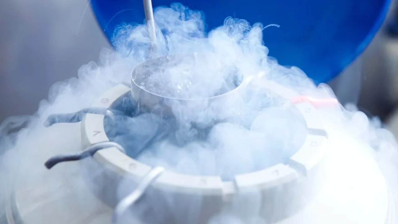 Embryo Changes After Freezing Links to IVF Success Rates – Fertility and Sterility