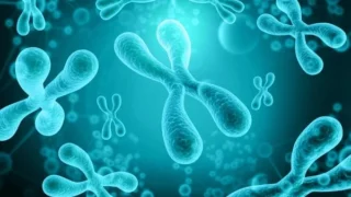 Biochemical Pregnancy in IVF, Why Chromosomes Aren't the Whole Story? - Fertility Plus