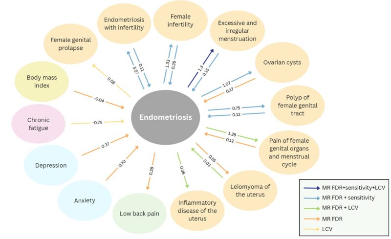 Dora Koller: New GWAS Analysis Highlights Broad Shared Biology in Endometriosis