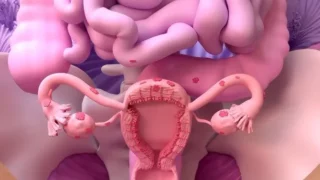 Blood Inflammation Markers May Not Reliably Detect Endometriosis - Fertility Plus