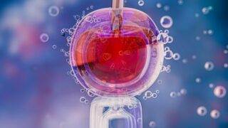 ESHRE 2026 Brings Together the Global Fertility Community - Fertility Consultancy