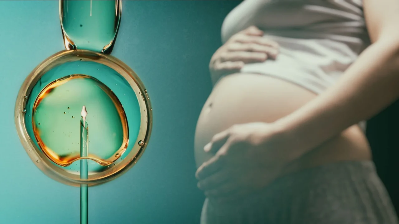 The Fear Around IVF and Cancer Has Never Matched the Data – Fertility Plus