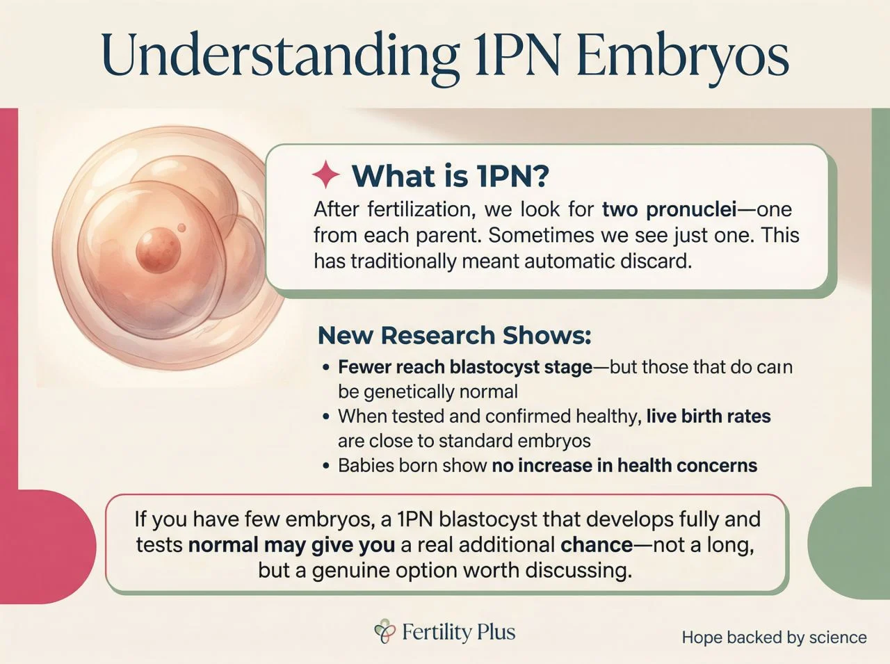 Abnormal Embryos That Might Not Be So Abnormal After All – Fertility Plus