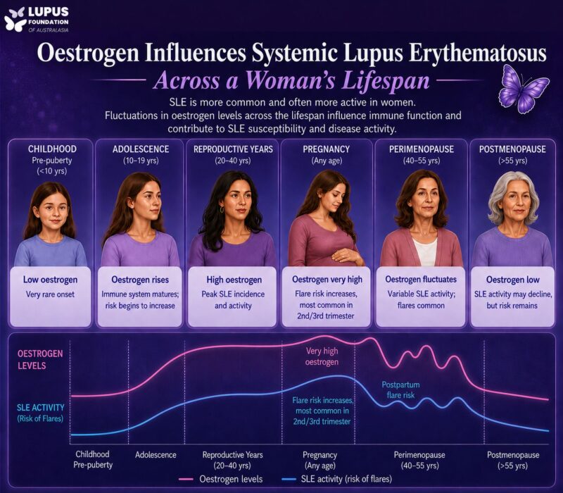 How Estrogen Influences SLE Across a Woman’s Lifespan – The Lupus Foundation of Australasia