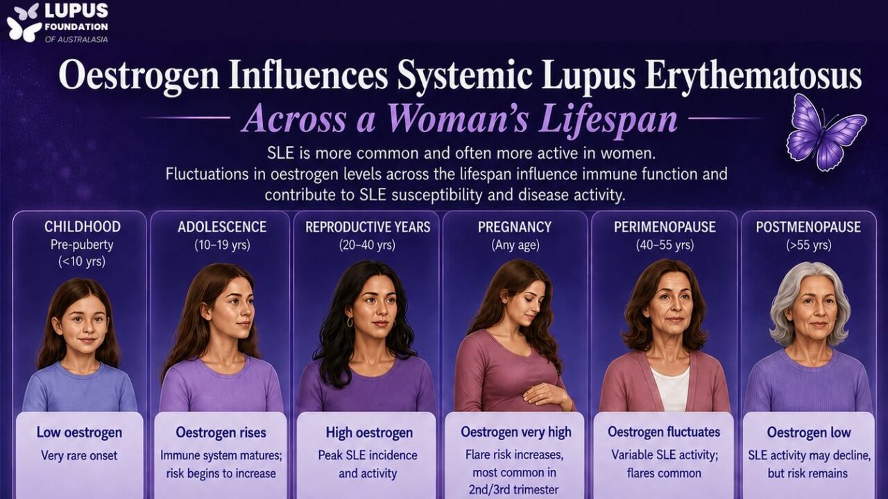 How Estrogen Influences SLE Across a Woman’s Lifespan – The Lupus Foundation of Australasia
