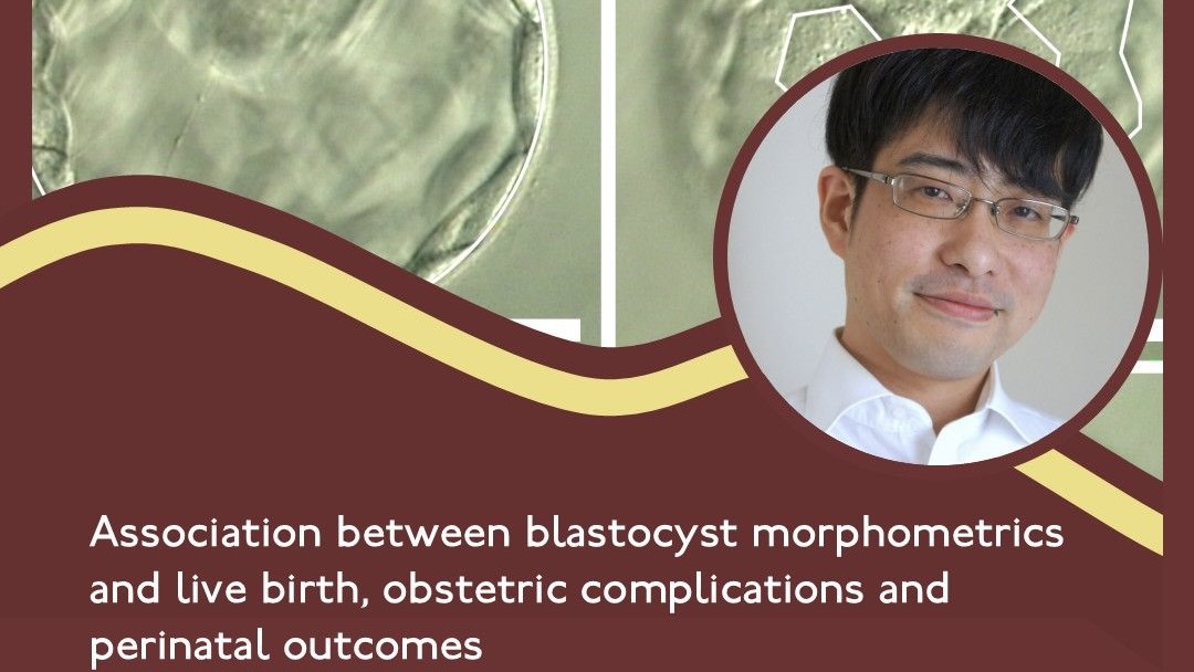 Association Between Blastocyst Morphometrics and Live Birth, Obstetric Complications and Perinatal Outcomes – RBMO