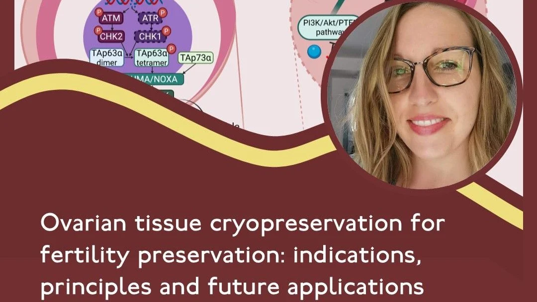 Ovarian Tissue Cryopreservation and Fertility Preservation in Young Female Cancer Patients – RBMO