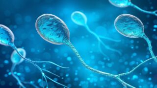 Eric Lameignere: The Impact of Sperm Epigenetics on ICSI Outcomes