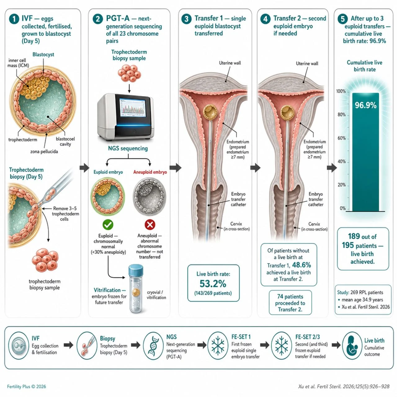 PGT-A Offers New Hope for Couples Facing Recurrent Pregnancy Loss – Fertility Plus
