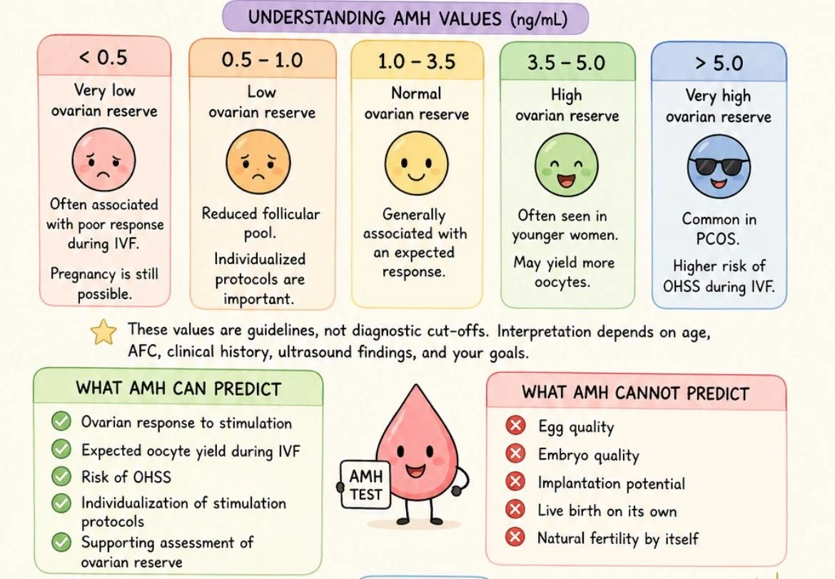 Akansha Negi: AMH – A Number That Guides Treatment, Not a Number That Defines Fertility