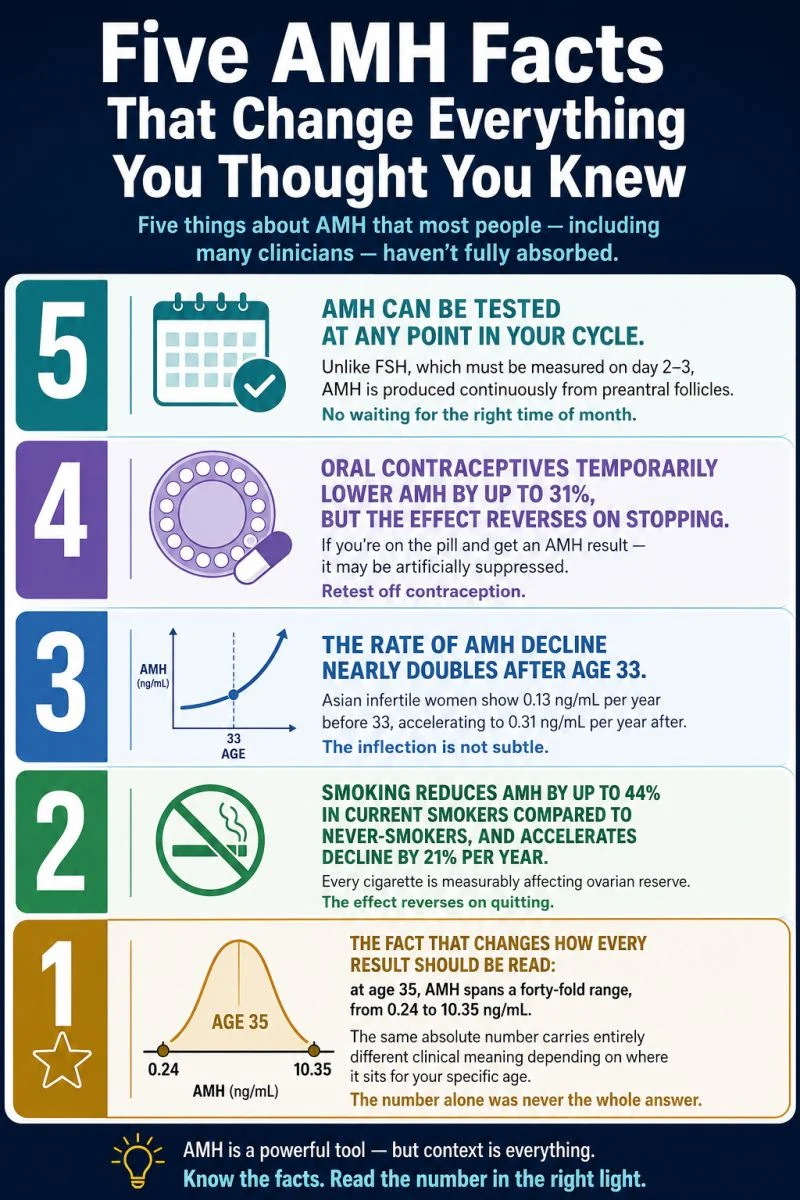 5 AMH Facts That Change Everything – Fertility Plus