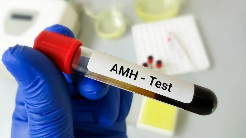 5 AMH Facts That Change Everything – Fertility Plus
